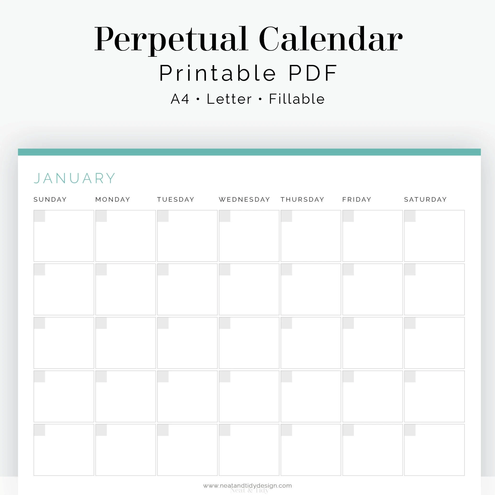 12 Month Perpetual Calendar Fillable Printable PDF Business 