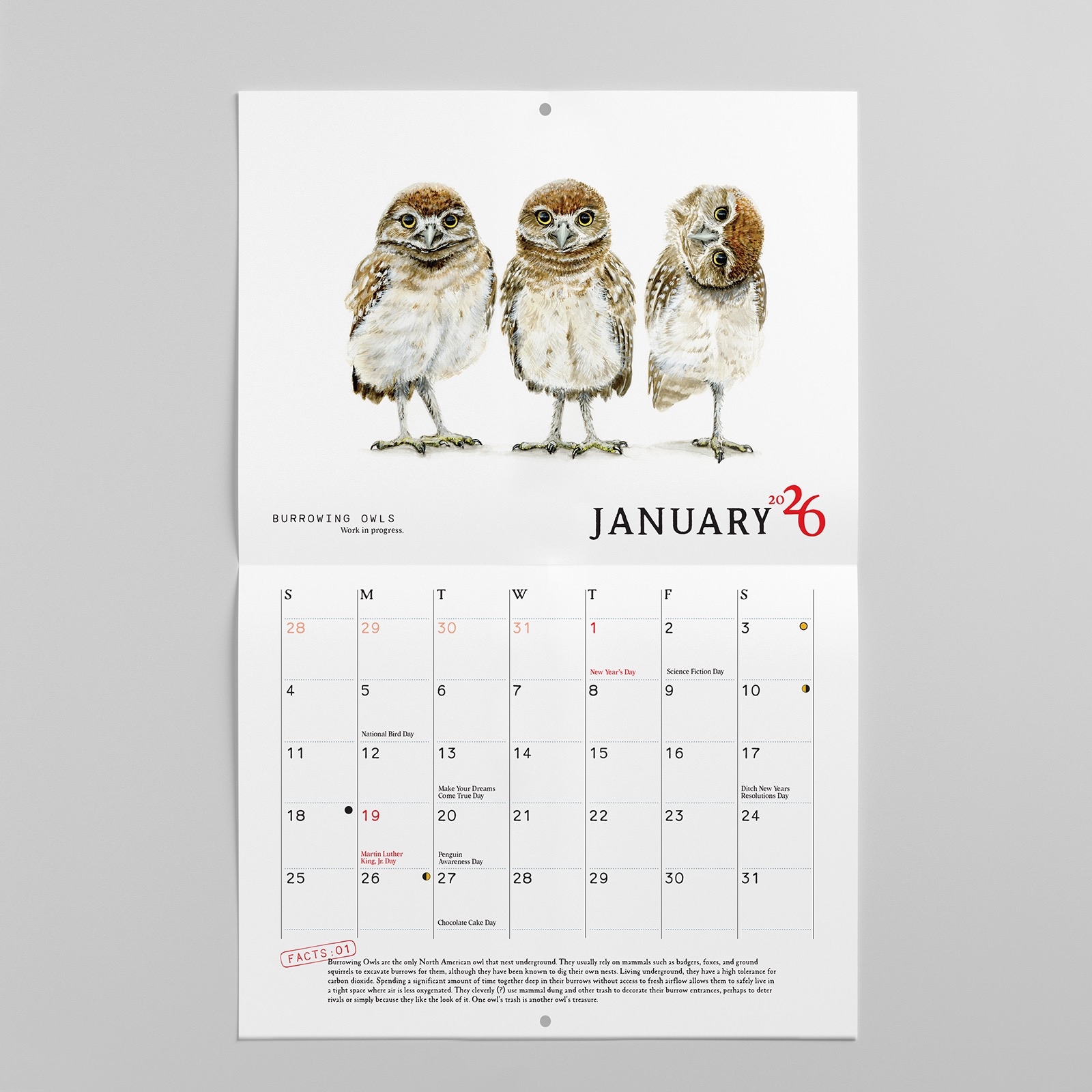 2026 Bird Calendar Barbara Schelling