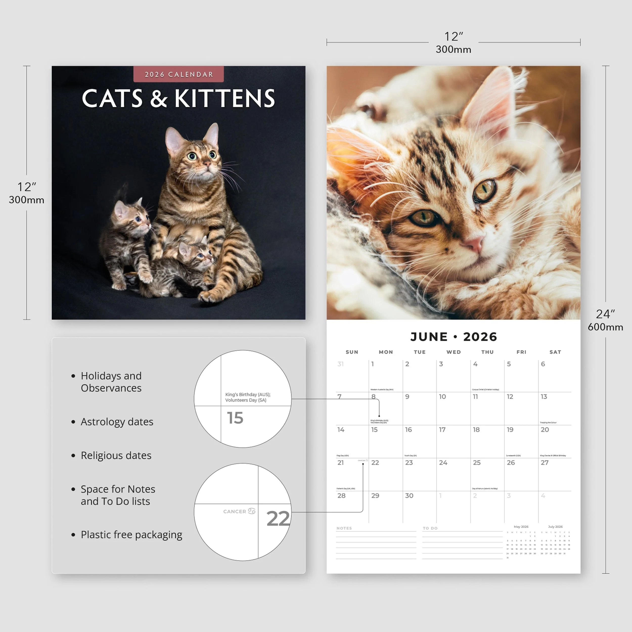 2026 Cats amp Kittens Square Wall Calendar