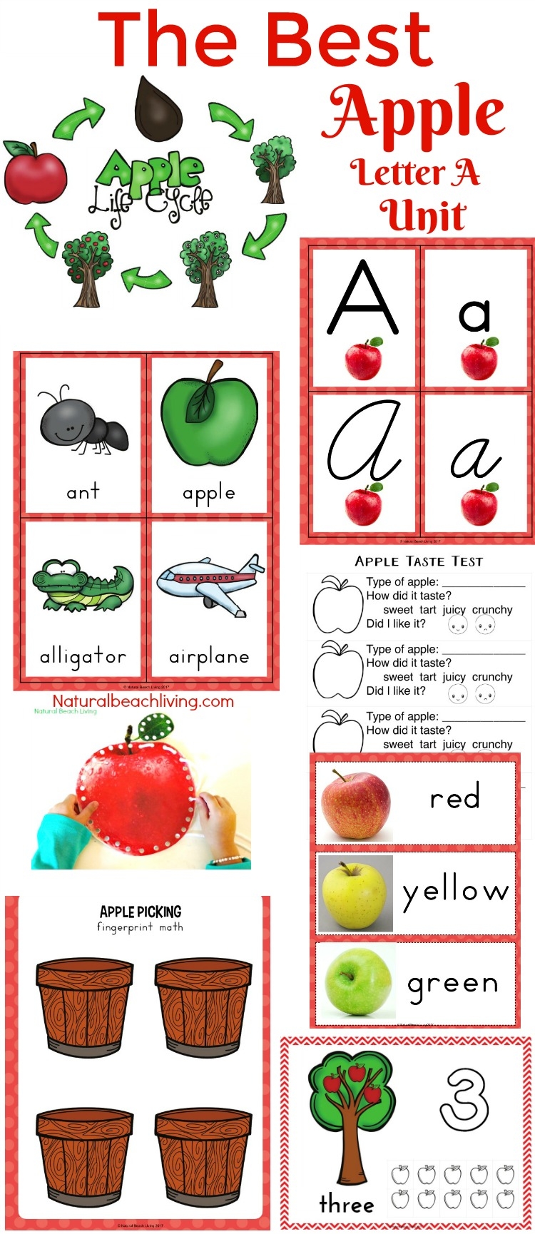 30 Free Apple Printables For Preschool And Kindergarten Natural 