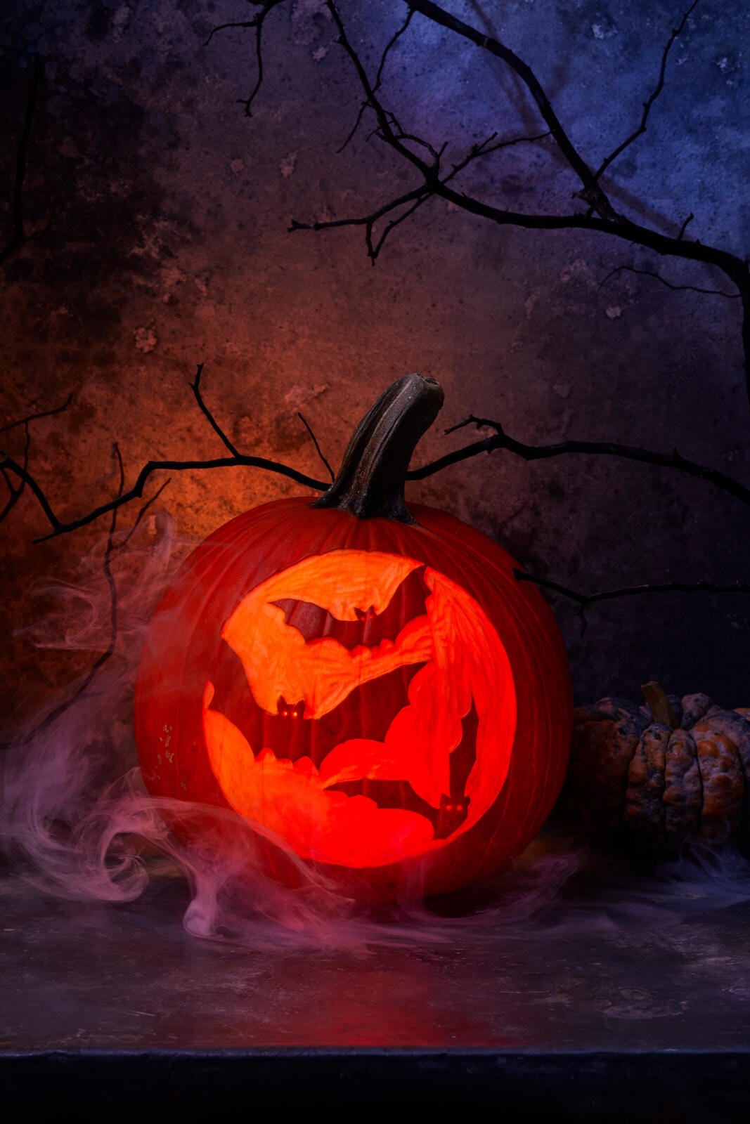 84 Easy Pumpkin Carving Ideas And Designs For Halloween
