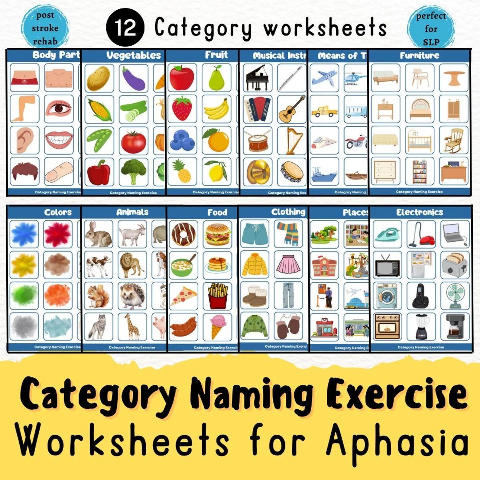 Aphasia Printable Post Stroke Rehabilitation Categorizing Worksheet