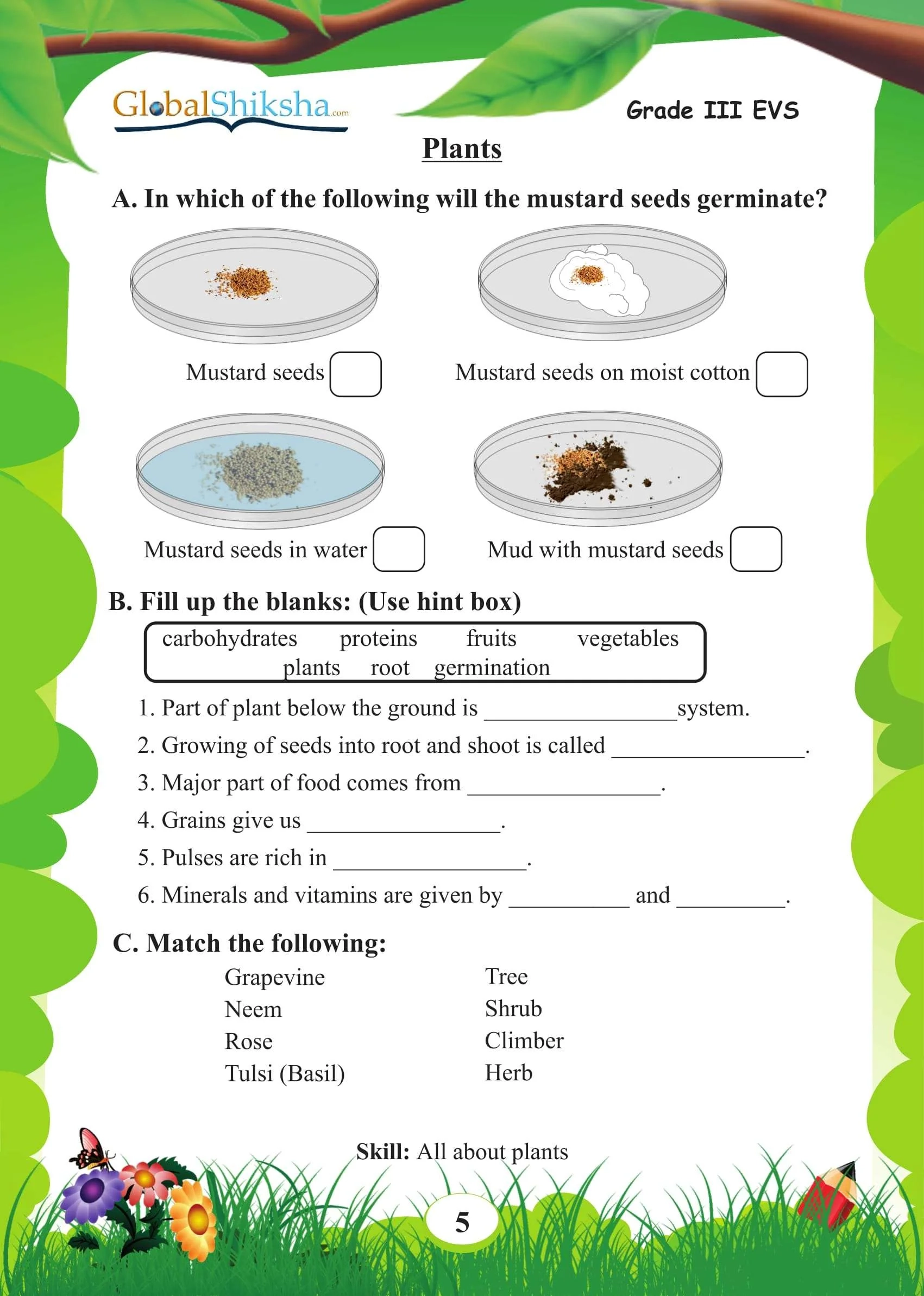 Printable Worksheets For 3rd Grade Science