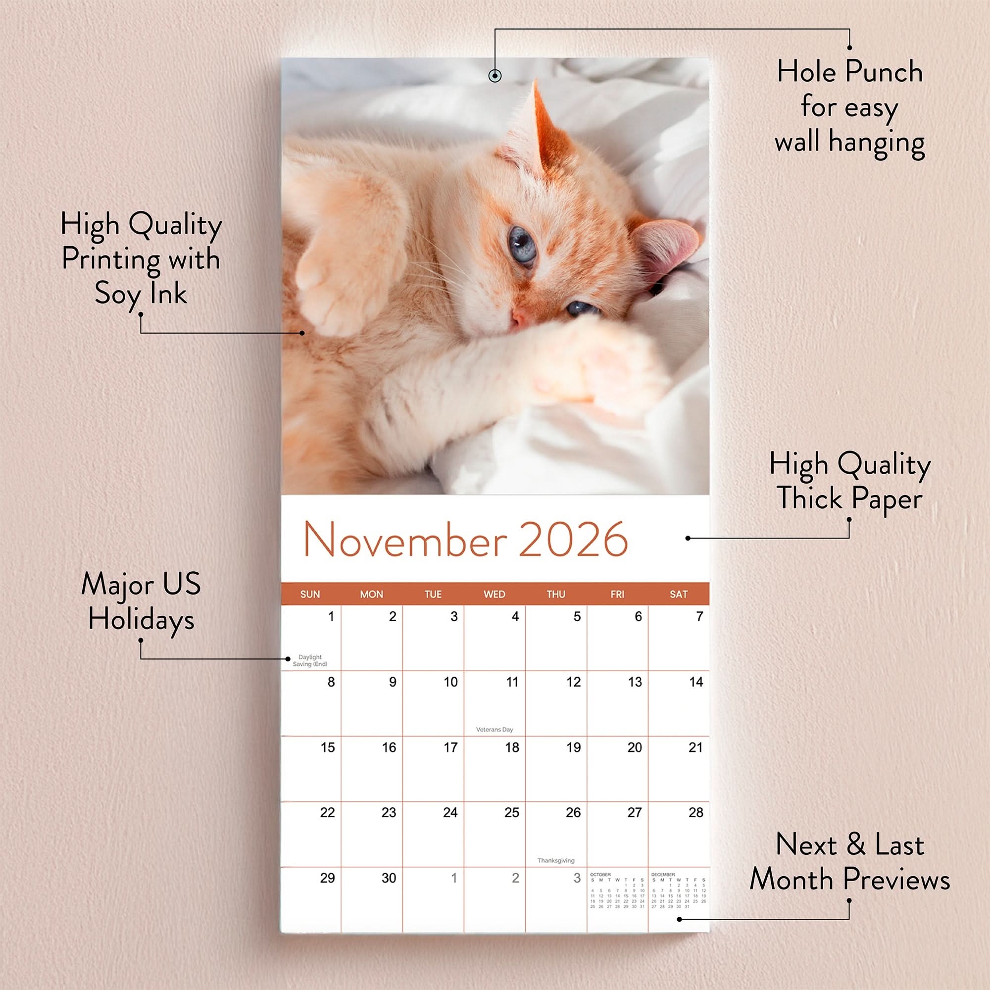 Cats Wall Calendar Eterna Goods