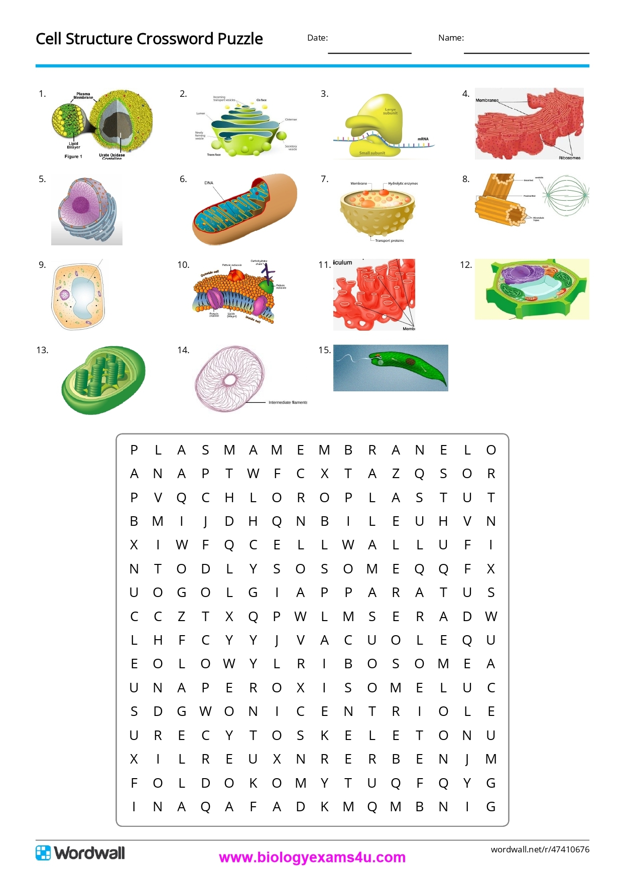 Biology Crossword Puzzle Today