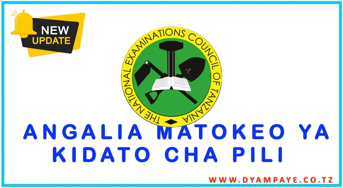 Check Form Two National Assessment Examination Results 2023 24 