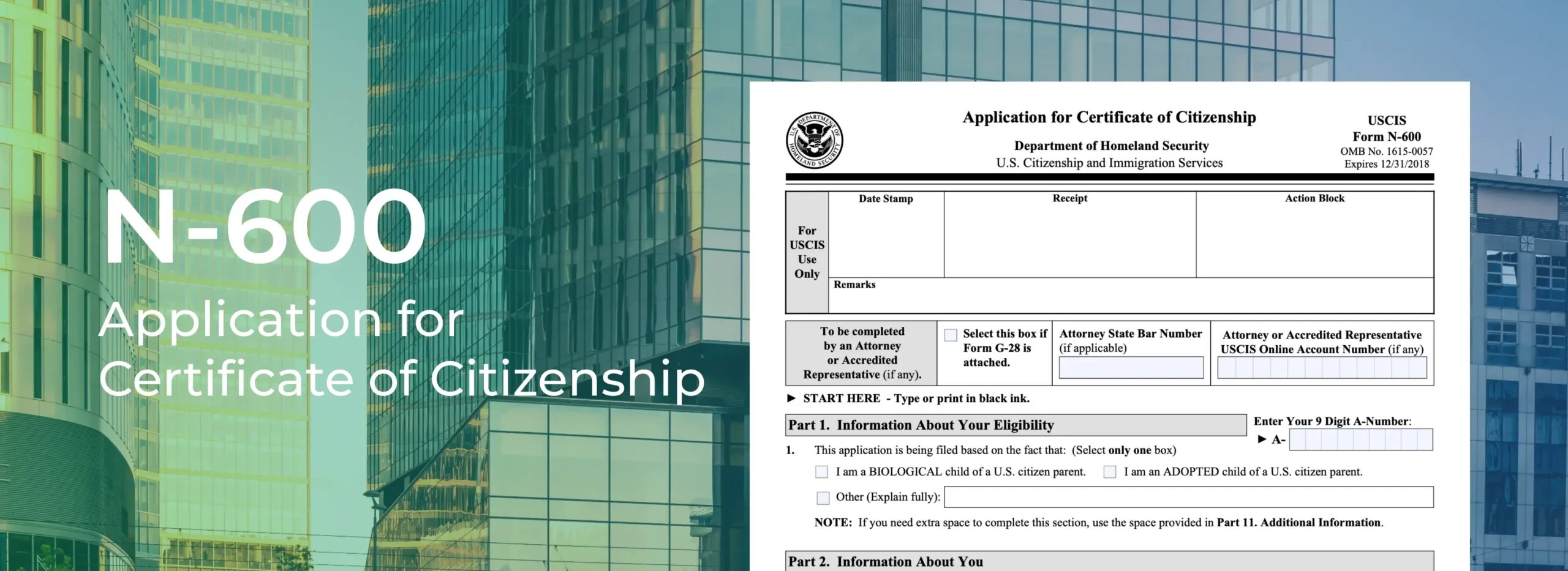 Form N 600 Printable