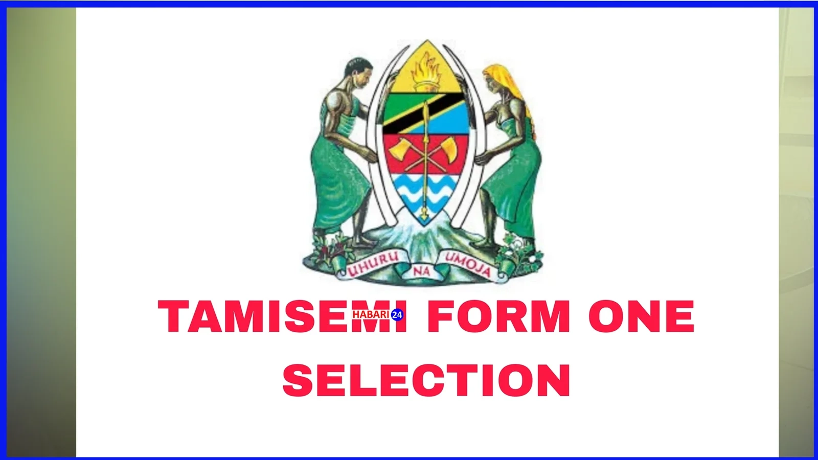 Form One Selection 2025 2026 Assengaonline