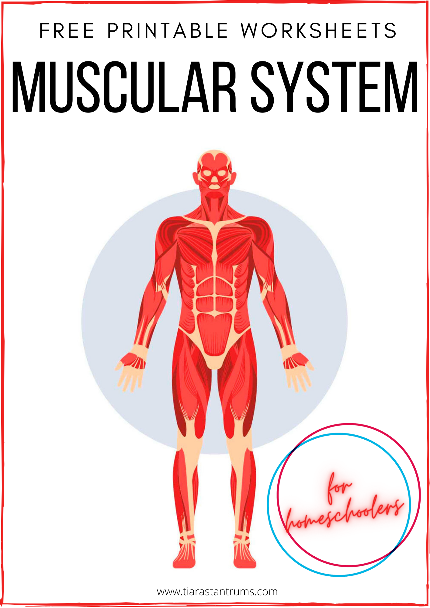 FREE Human Body Systems Labeling Worksheets Tiaras amp Tantrums