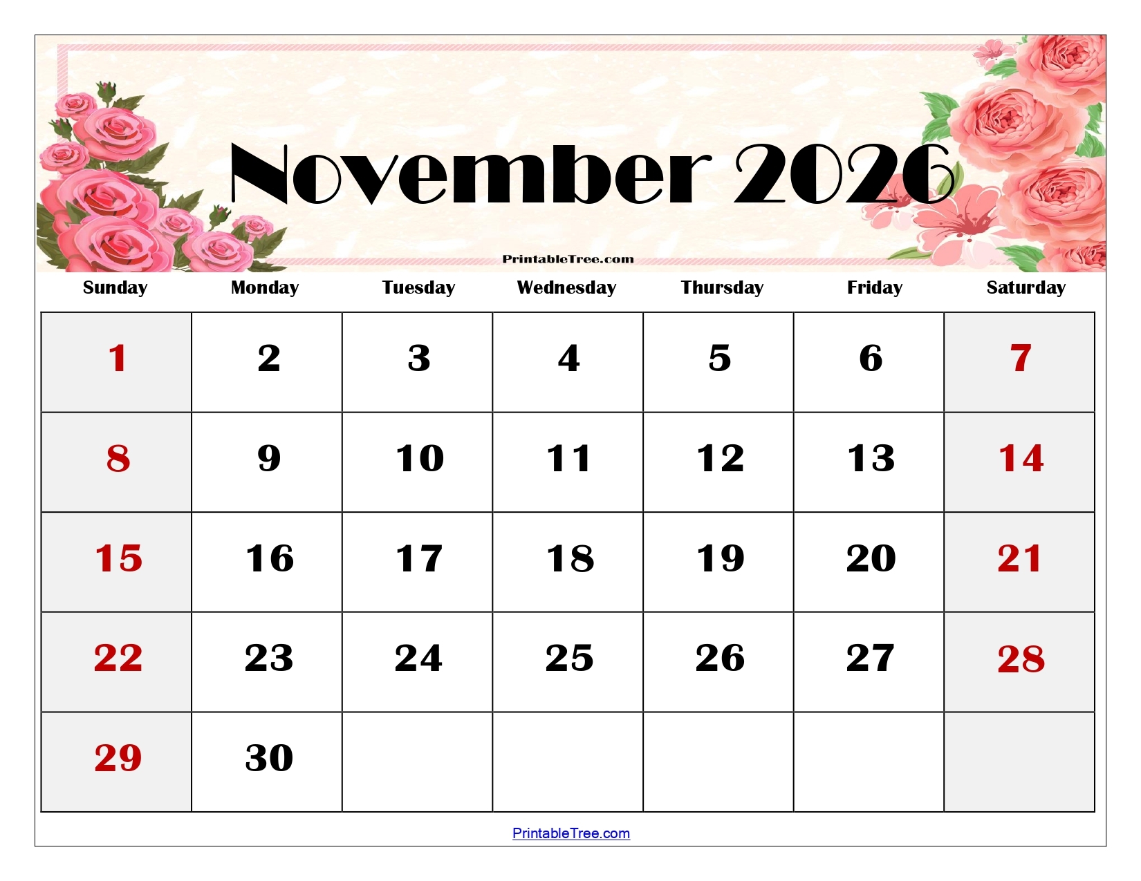 Colorful Printable November Calendar 2026