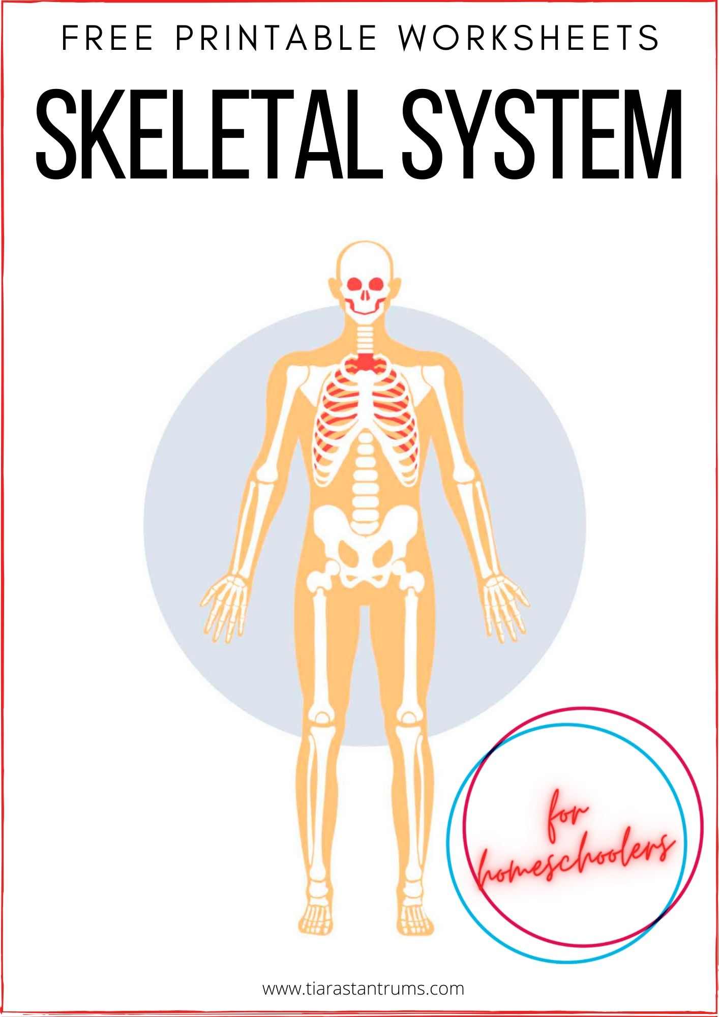 FREE Skeletal System Worksheets Printable Tiaras amp Tantrums