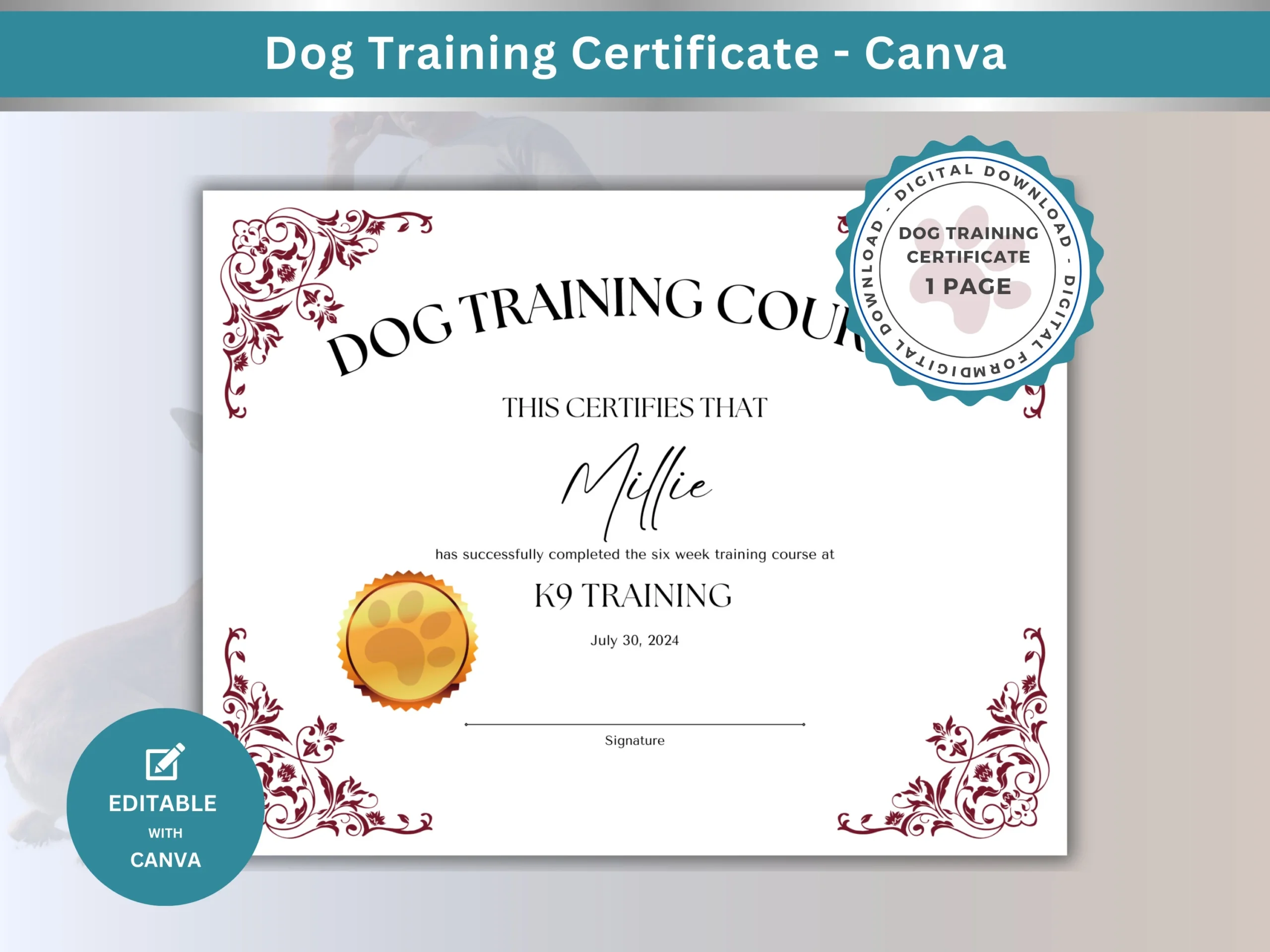 Hundetraining Zertifikat Vorlage Bearbeitbarer Canva Abschluss 