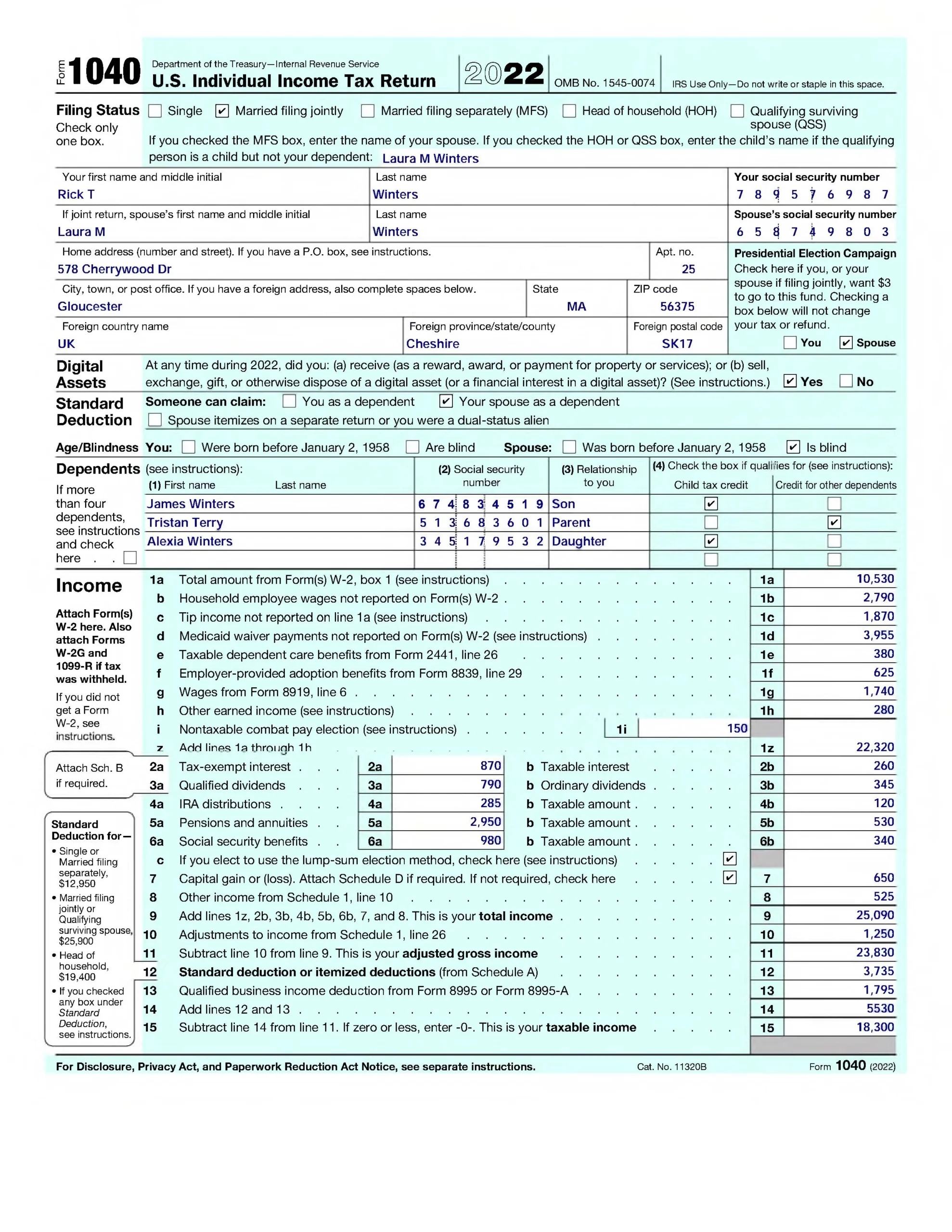 IRS Form 1040 Automated Document Processing Vantage Document AI