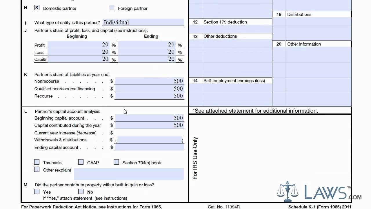 Learn How To Fill The Form K 1 Schedule K 1