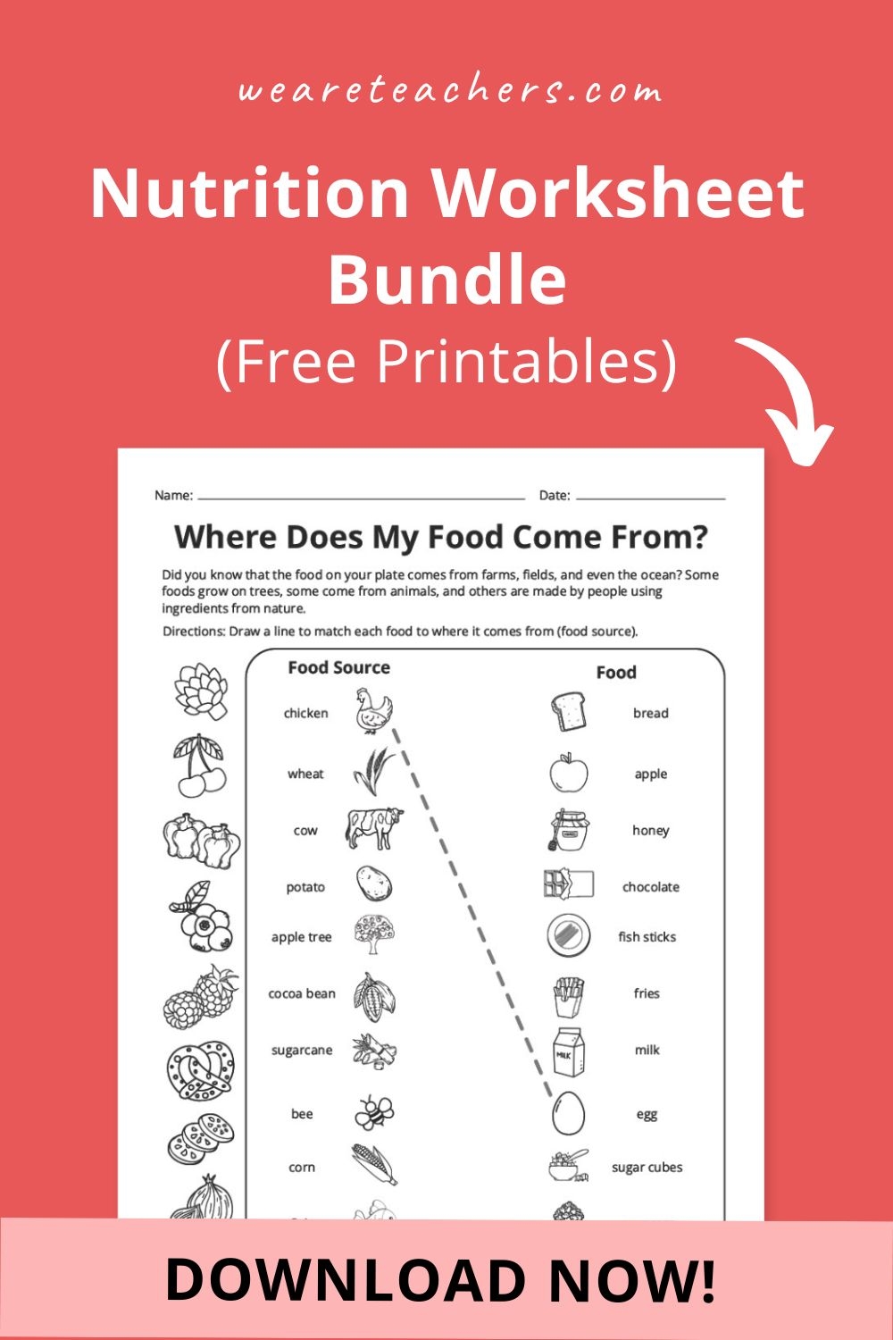 Nutrition Worksheet Bundle Free Printables 