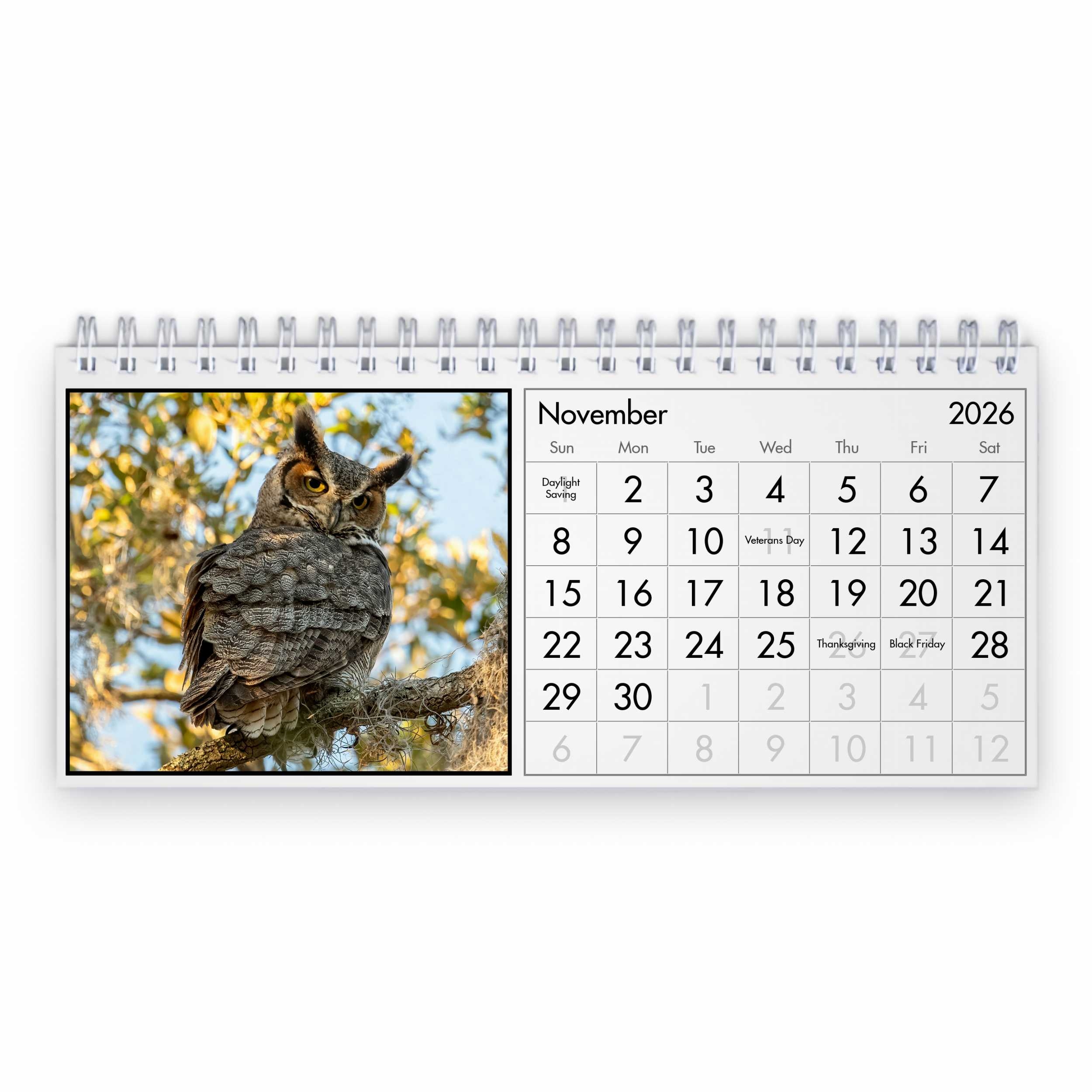 Owl 2026 Desk Calendar