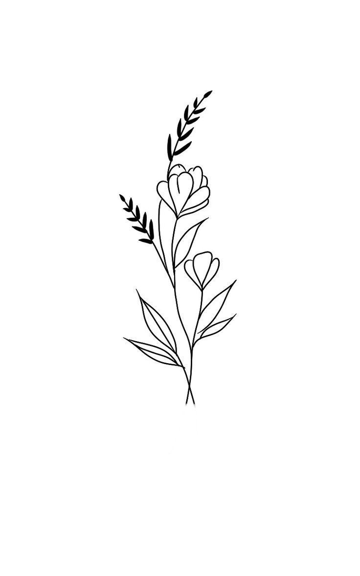 Pin By Petra Keszeliov On Nad Kotn k In 2025 Simple Flower 