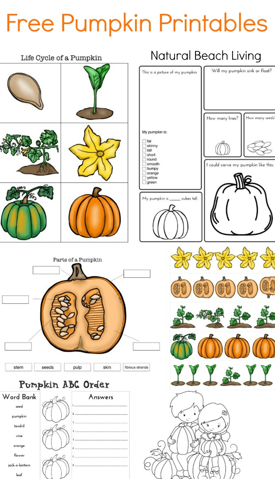 Free Printable Pumpkin Worksheets For Kindergarten
