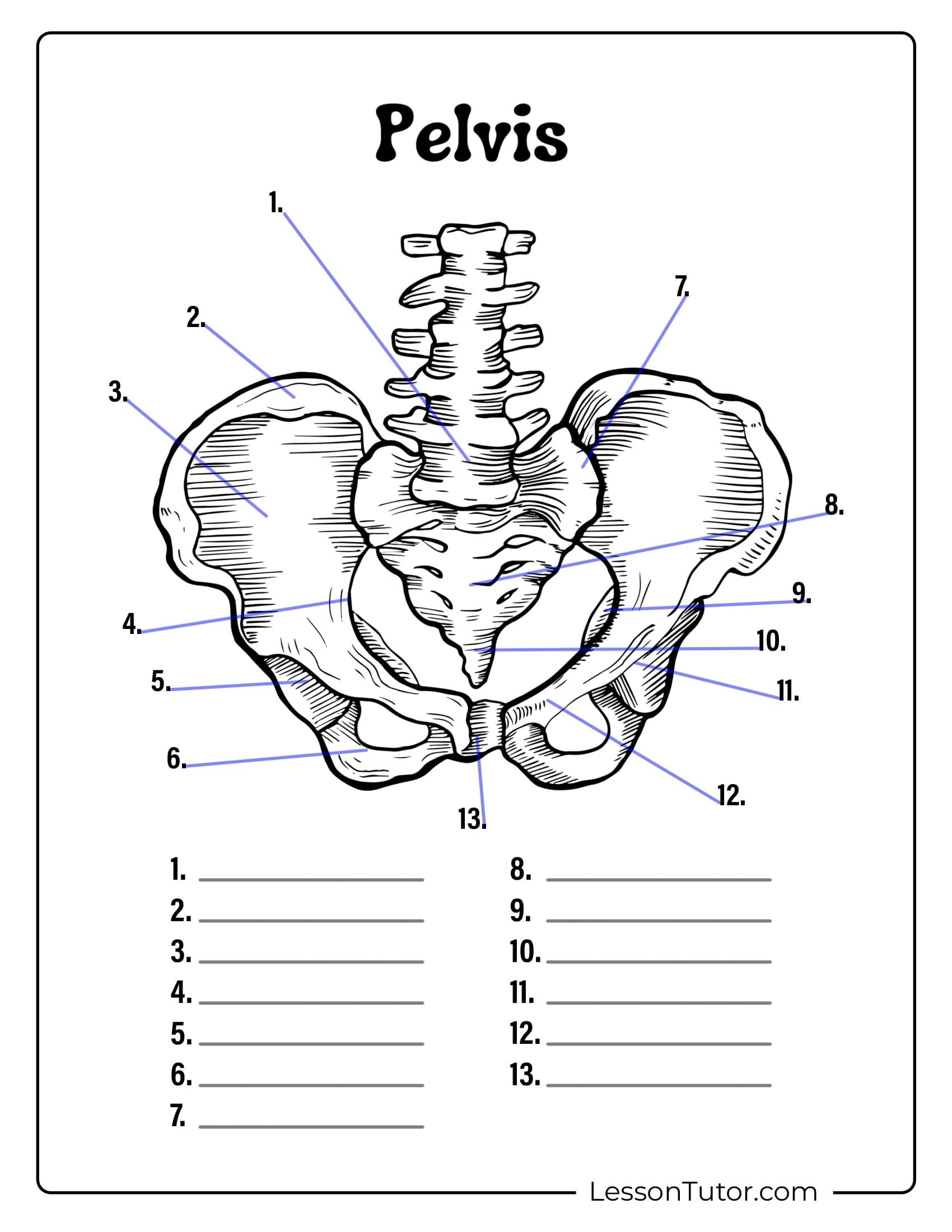 Free Printable Skeletal System Worksheets