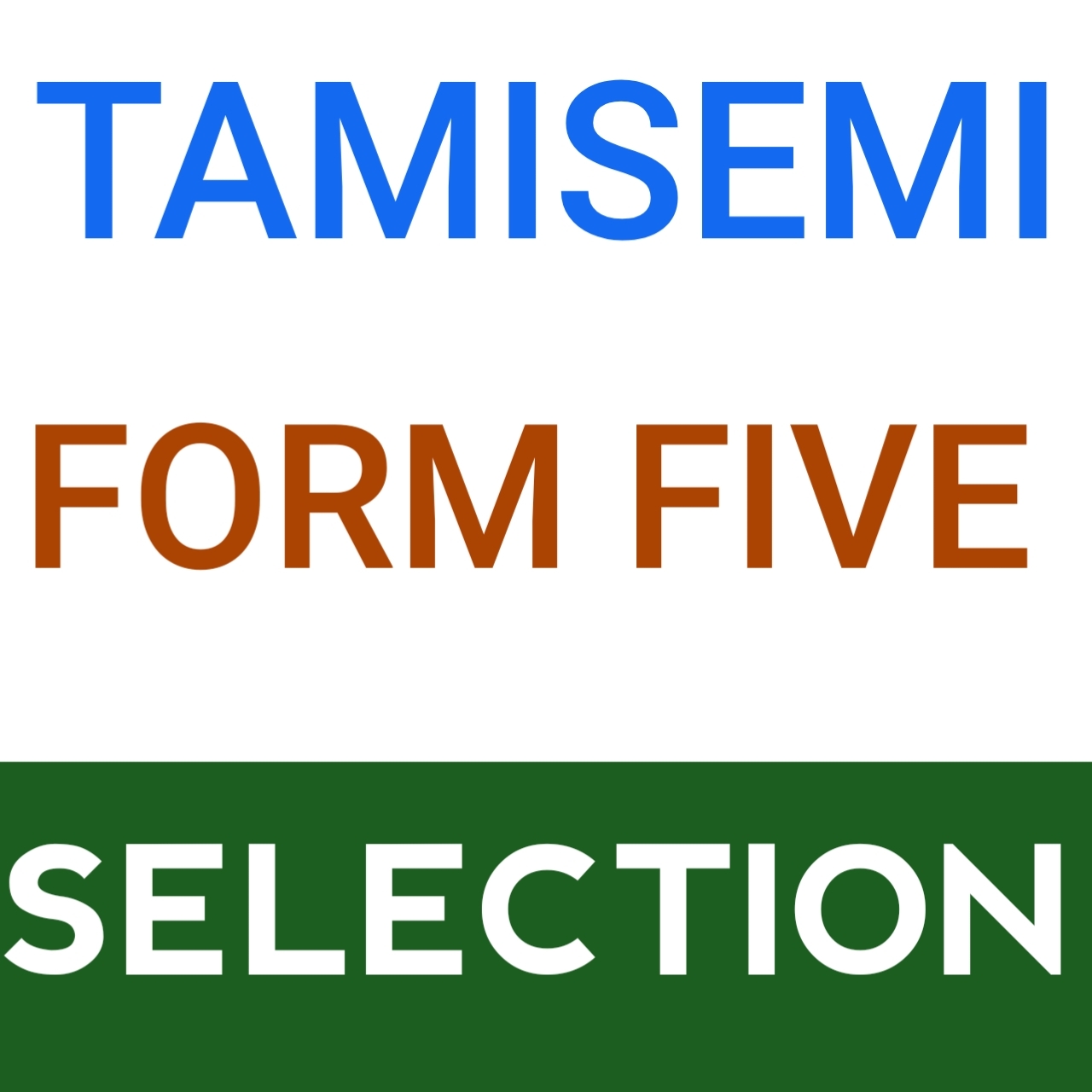 TAMISEMI Form Five Second Selection 2025 2026 Senkolink