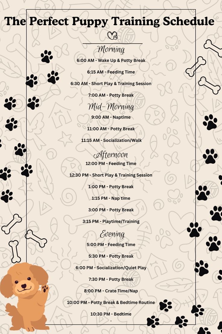 Free Printable Puppy Training Guide