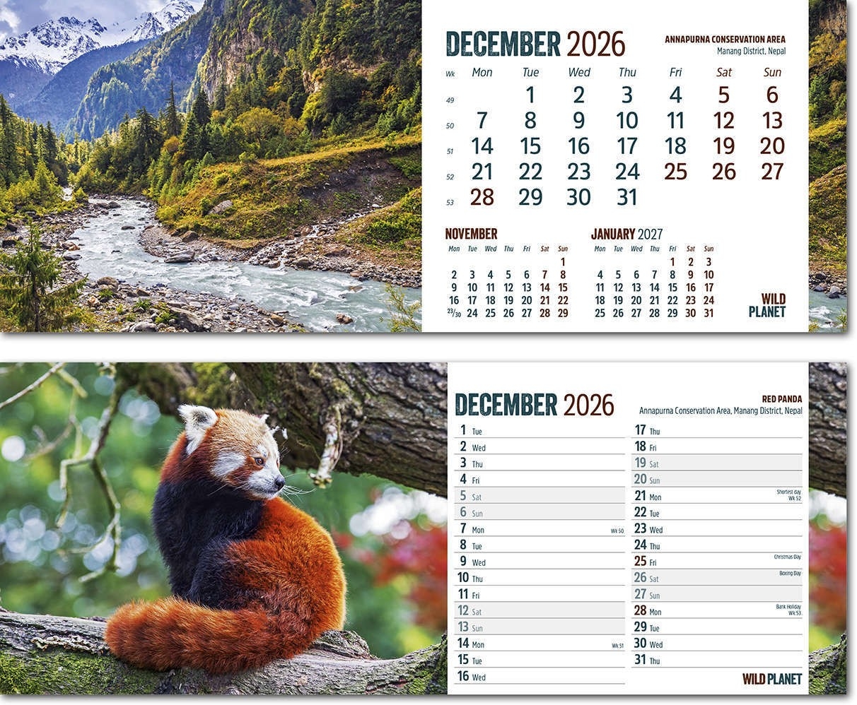 Wild Planet Note Station Desk Advertising Calendar 2026 Rose 