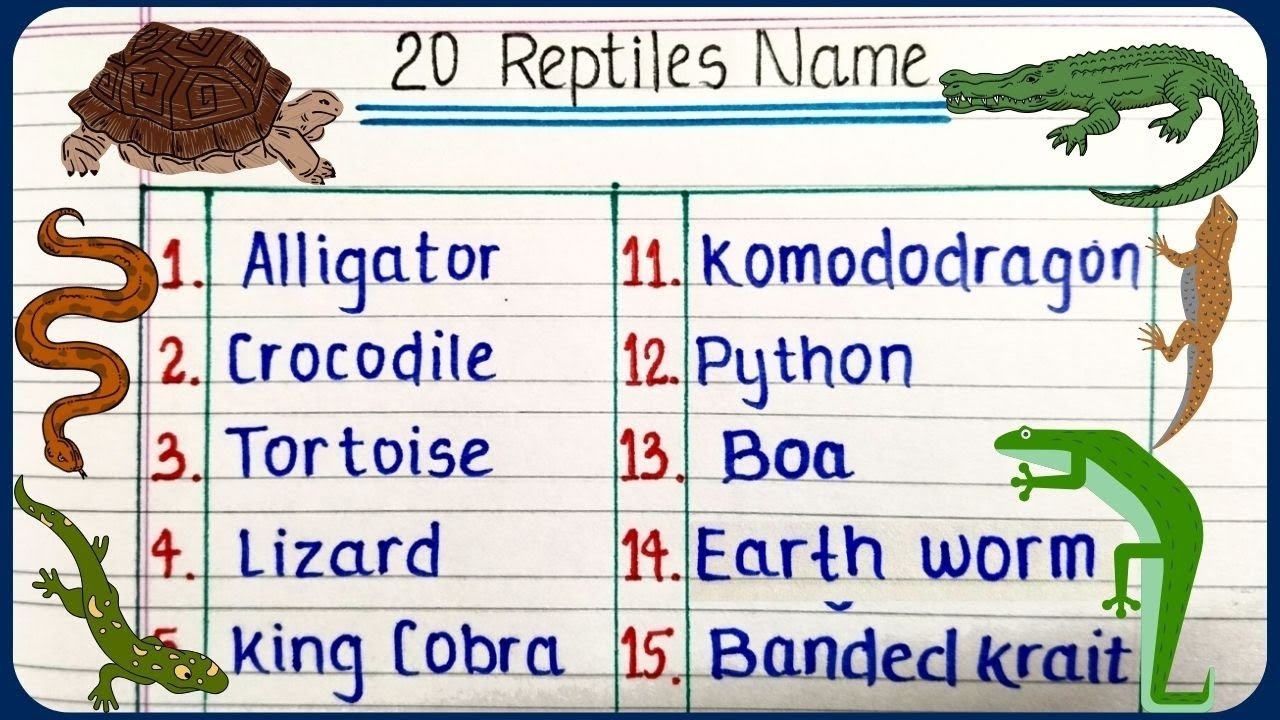20 Reptiles Name Learn Reptile Names In English English Vocabulary