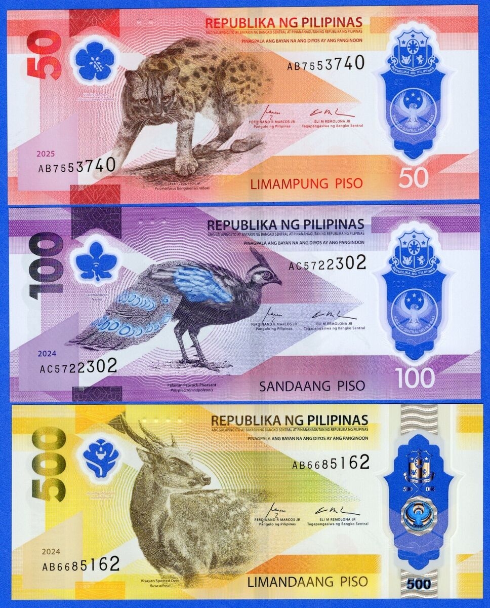 Printable Paper Philippine Money