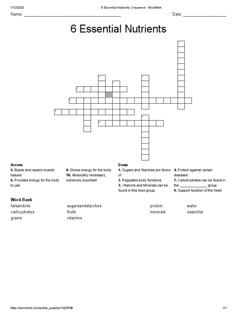 6 Essential Nutrients Crossword WordMint PDF