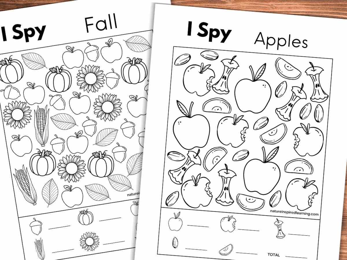 Free Printable Fall Worksheets 1st Grade