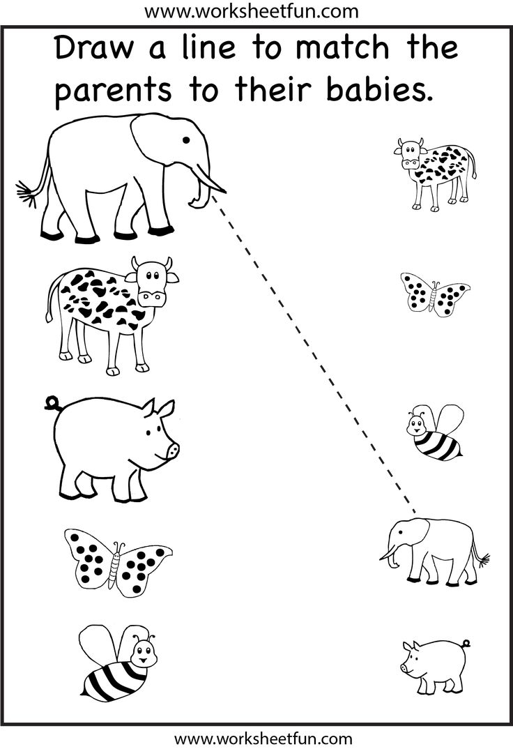 Animal Parents And Babies Match The Parents 2 Worksheets 