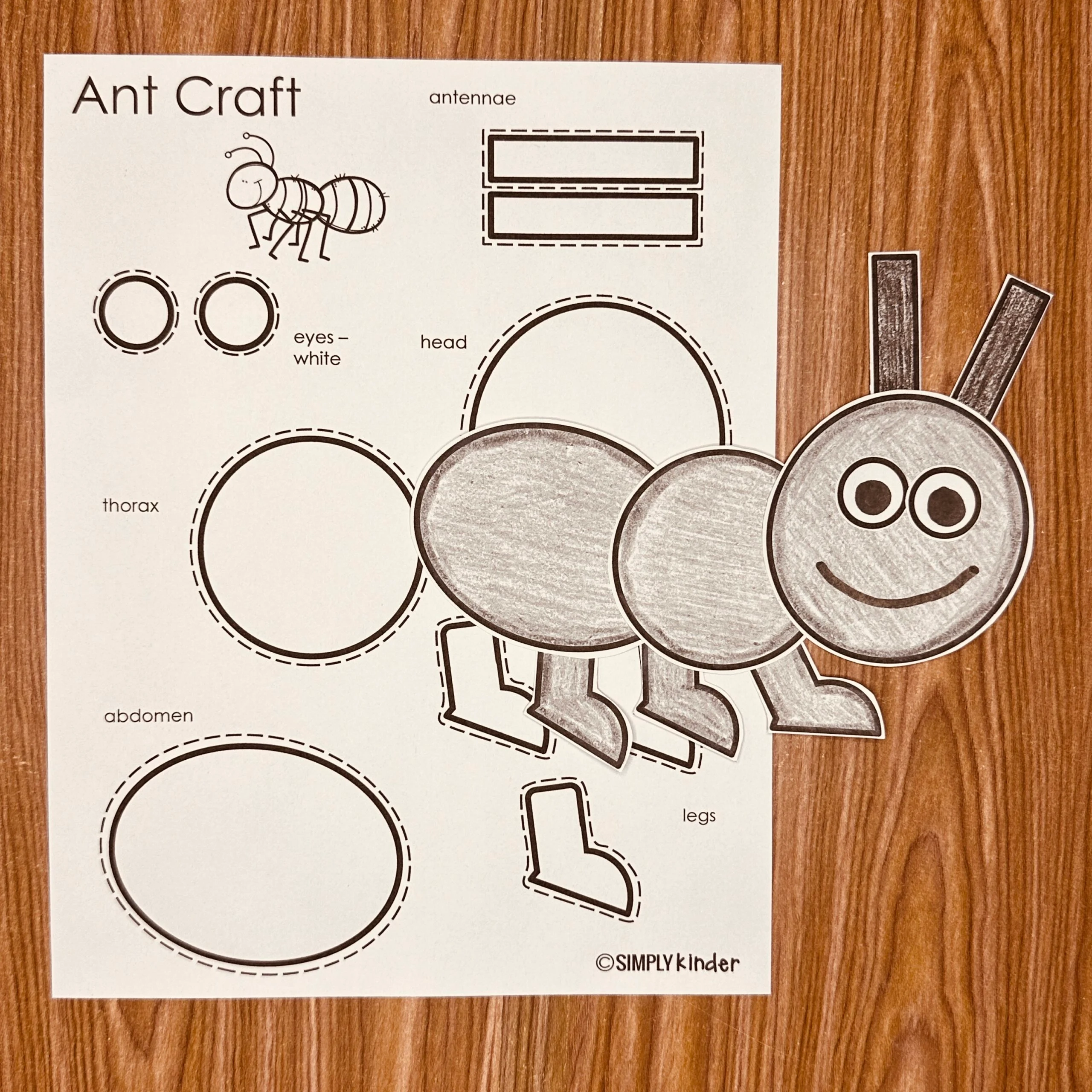 Ant Template Printable