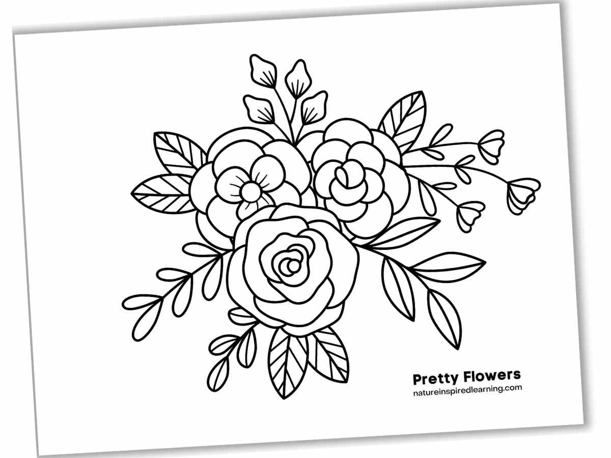 beautiful flower coloring pages nature inspired learning