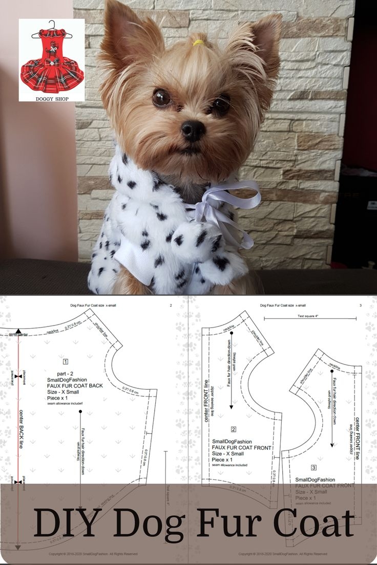 Beginner Template Dog Coat Sewing Patterns Free Printable Hoodie 