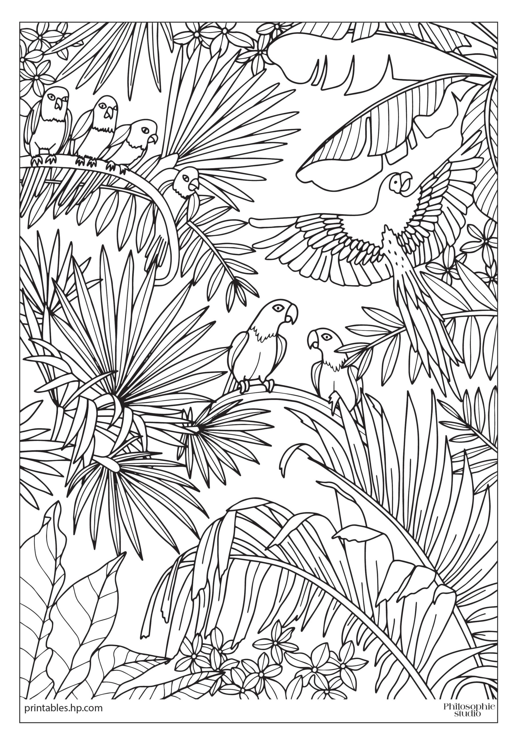 Colouring For Adults Tropical Jungle Printables Free 