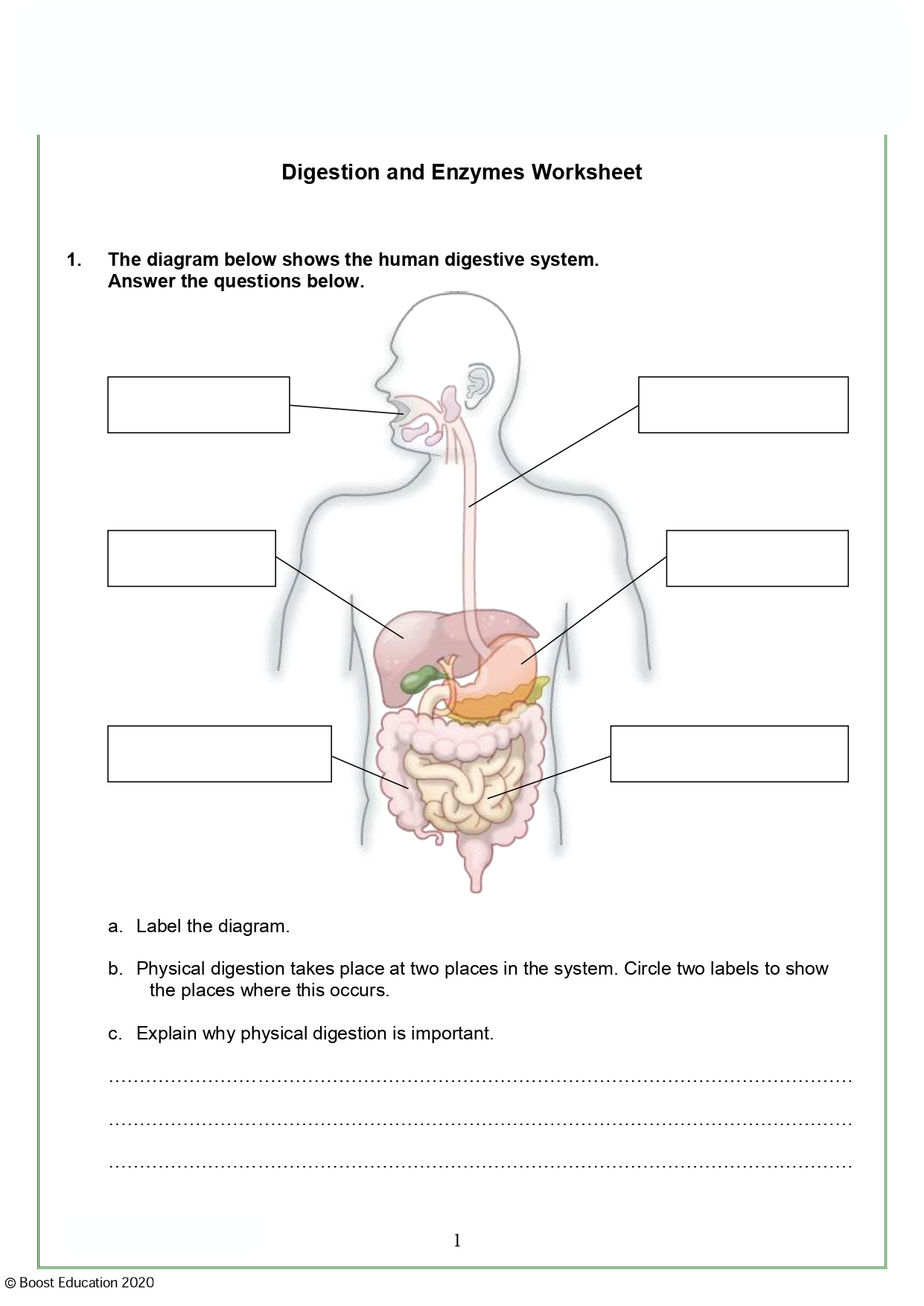 Year 10 Worksheets Printable
