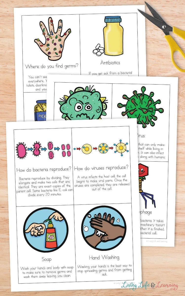 Fighting Germs Printable Cards Fun Learning For Kids