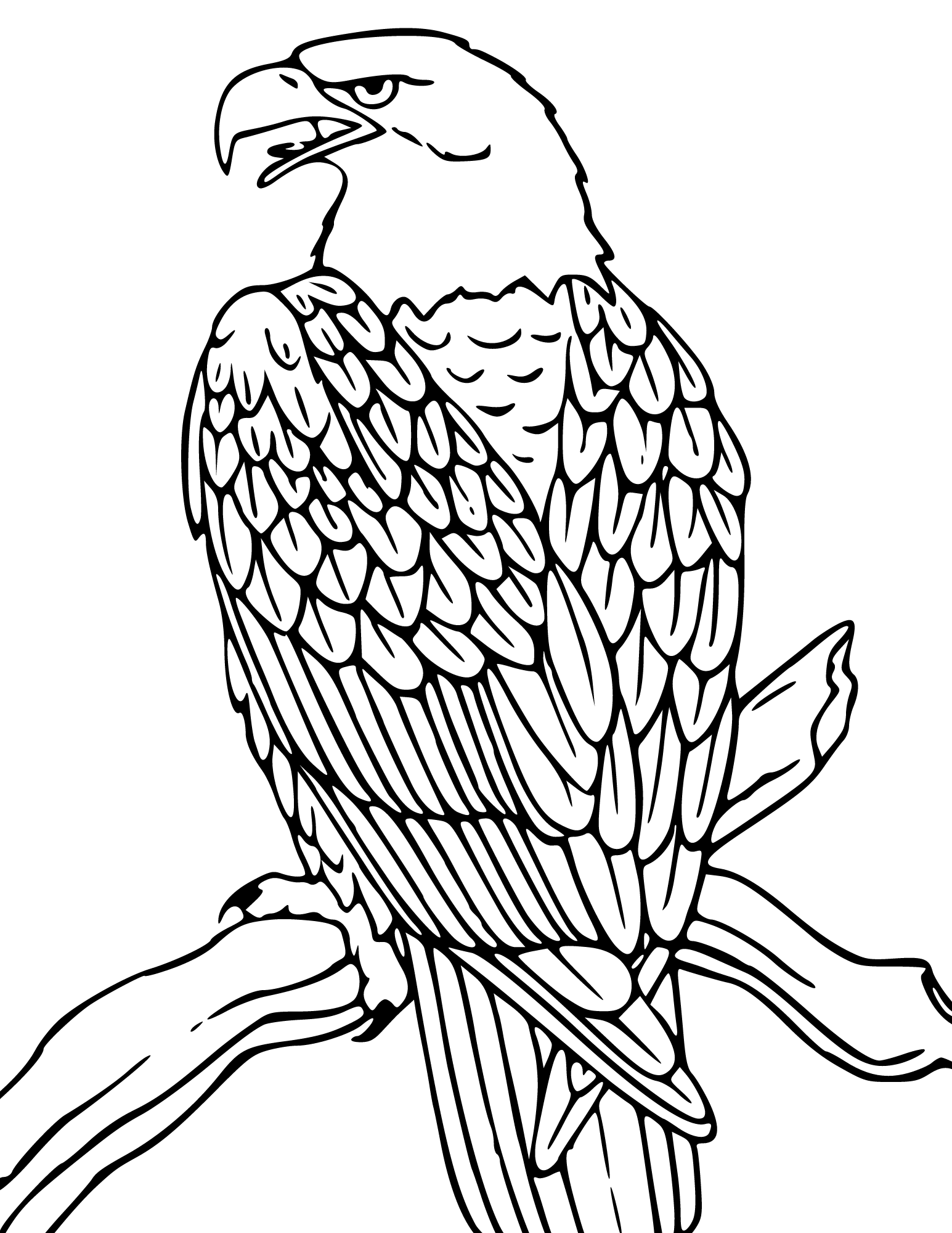 Free Printable Images Of Eagles