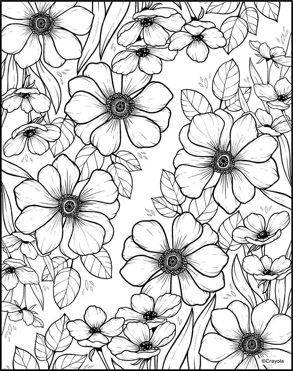 Free Coloring Pages
