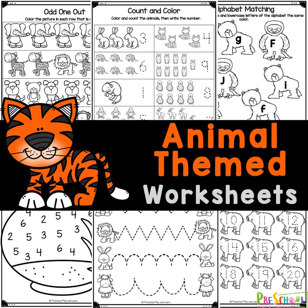 Printable Zoo Worksheets For Preschool