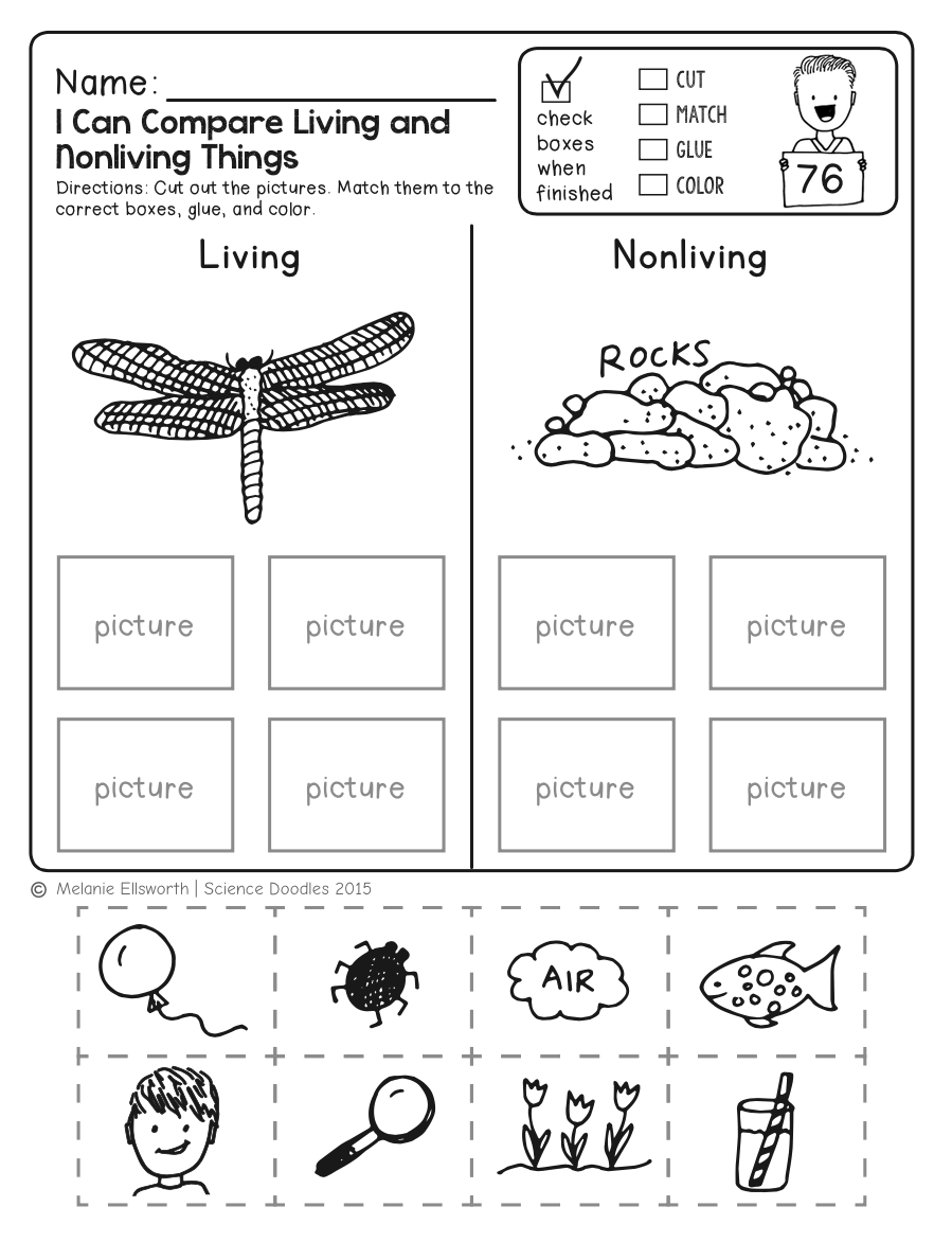 Free Printable Science Worksheets For Kids Engaging Educational 