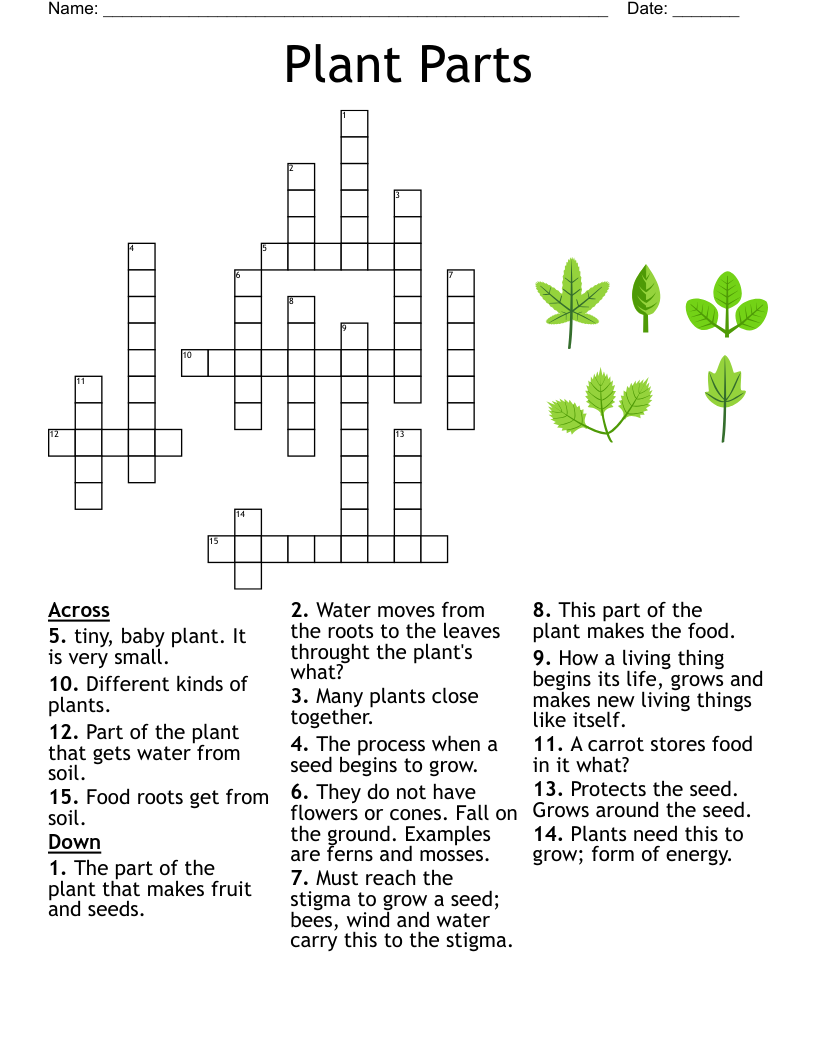 Nature Crossword Puzzle Printable