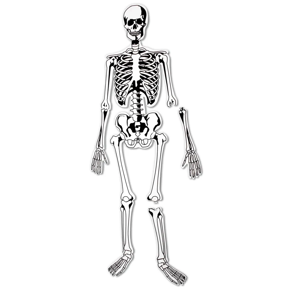 Human Skeleton Floor Puzzle Educational Kids Activity Learning 