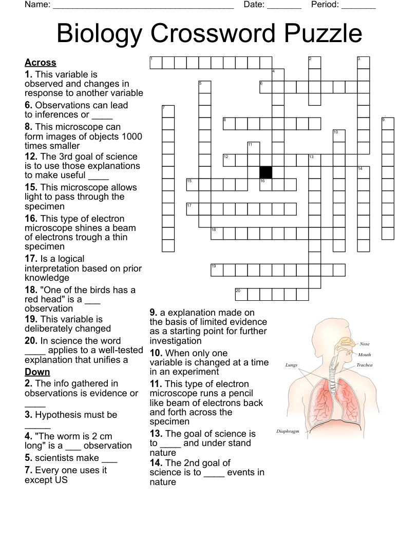 Introduction To Science Crossword WordMint