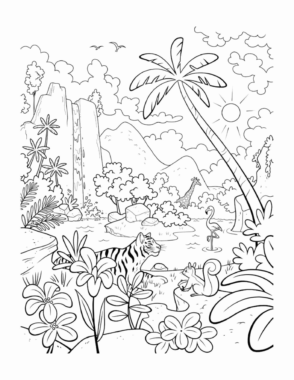 Rainforest Coloring Page Printable