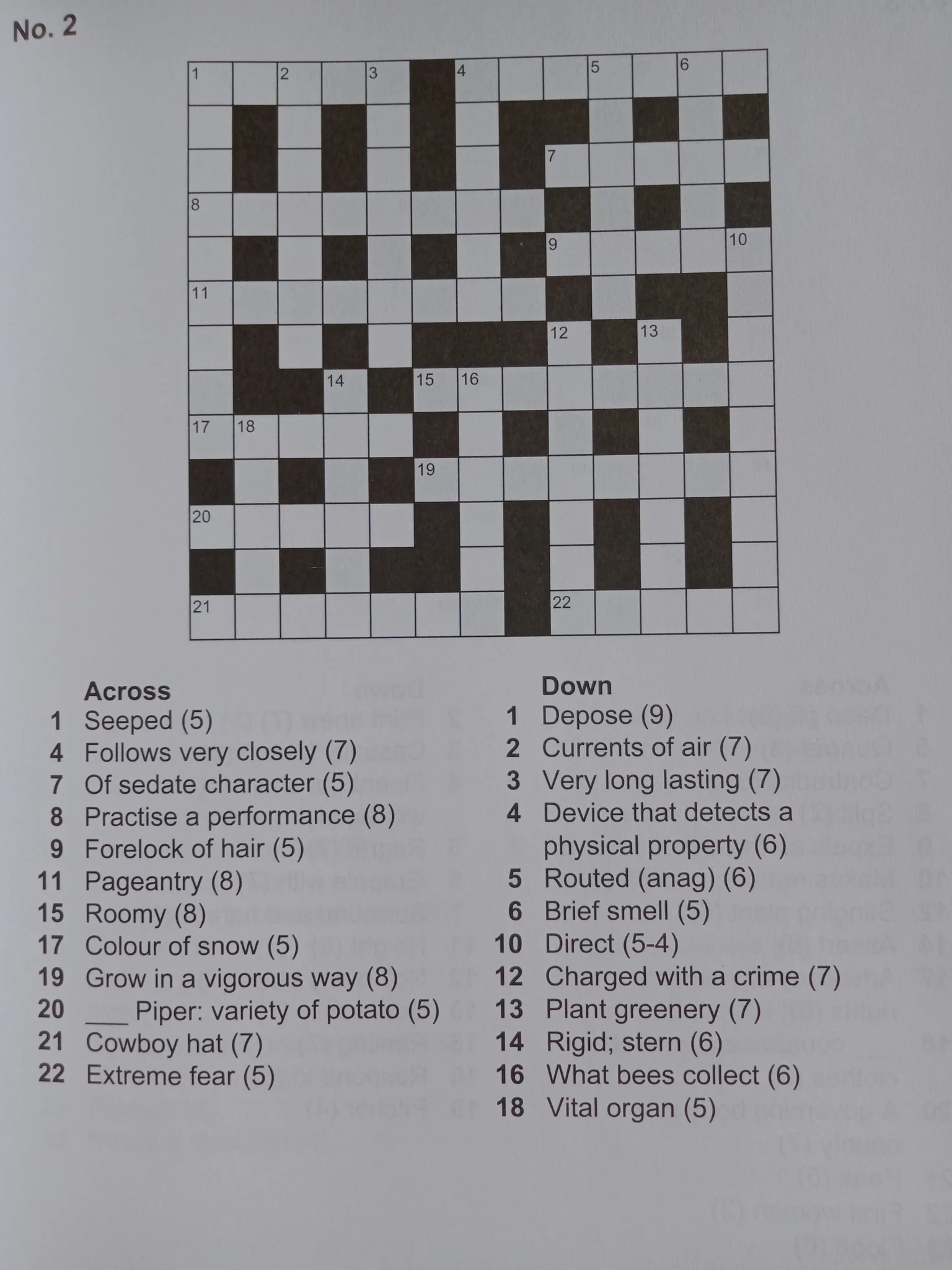 Easy Large Print Crossword Puzzles To Buy