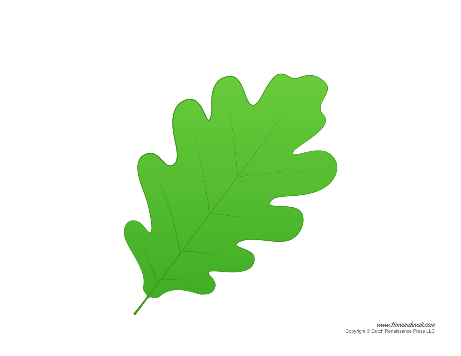 Leaf Templates amp Leaf Coloring Pages For Kids Leaf Printables