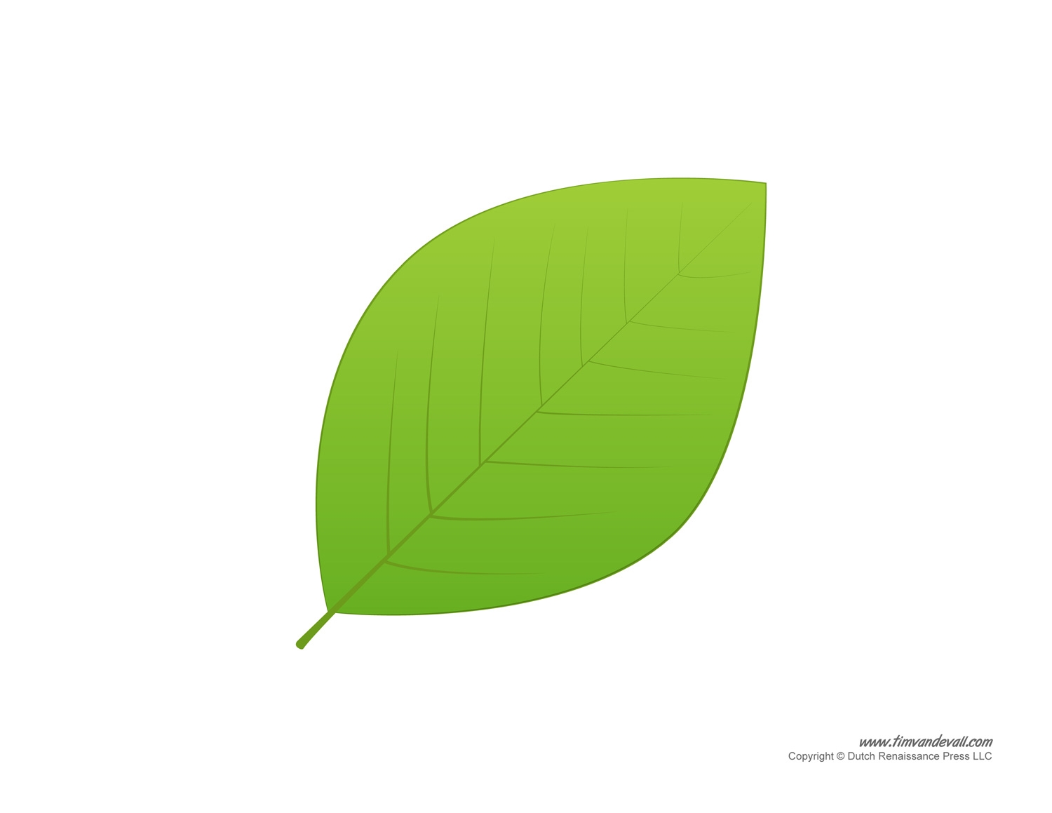 Colored Leaf Template Printable