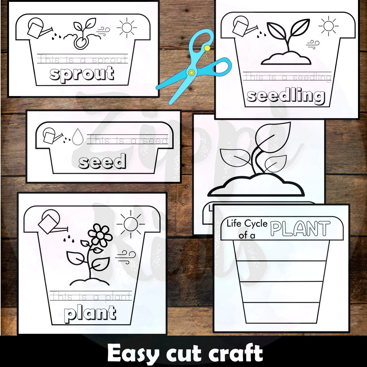 Life Cycle Of A Butterfly Frog amp Plant Flip Book Craft Printable 