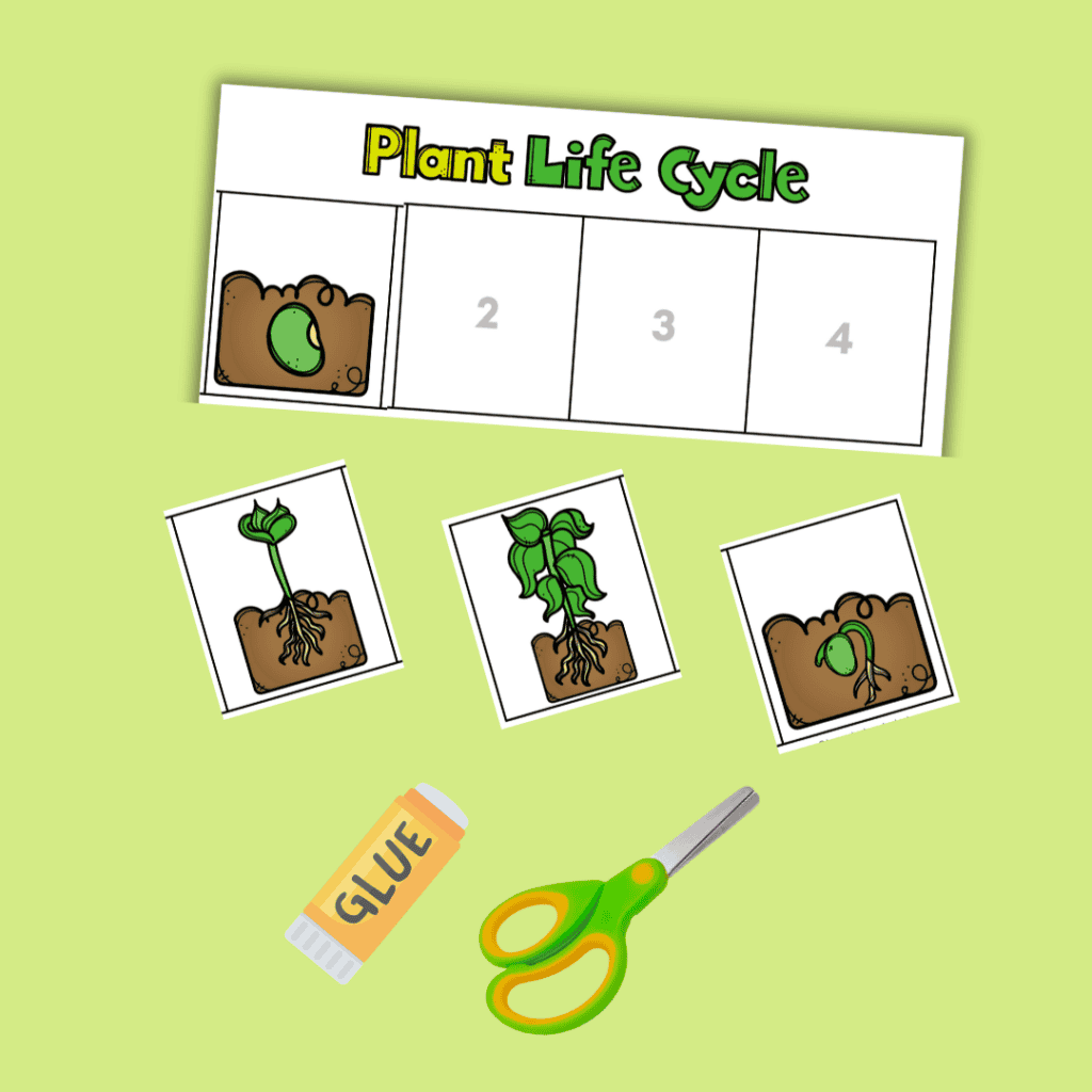 Plant Life Cycle Printable Book